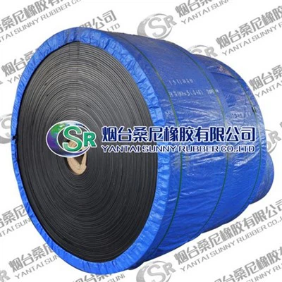 Roj Hmab Conveyor Siv Rau Kev Siv Tau Zoo Thiab Txhim Kho Cov Khoom Siv Thauj Khoom