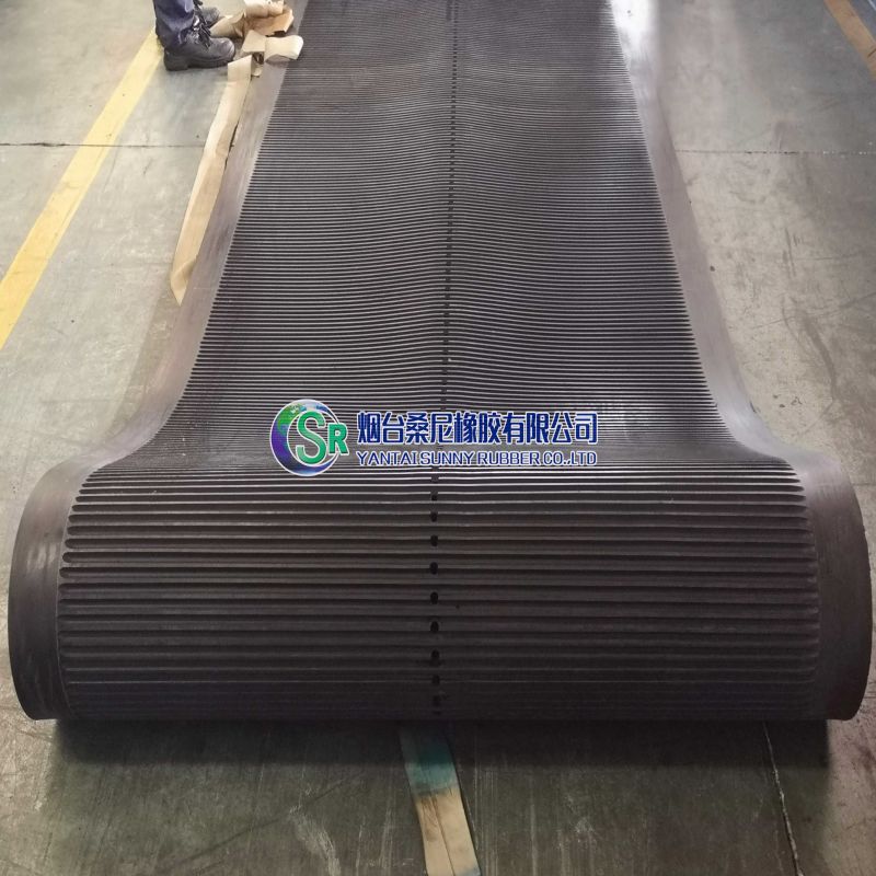 6M Dav China siab roj hmab lim dej nrog tiab-ntug