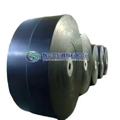 Dual -Resistant Conveyor Belt (Oil & Txias)