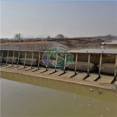 High Quality Spillway Gate Steel Rubber Siv
